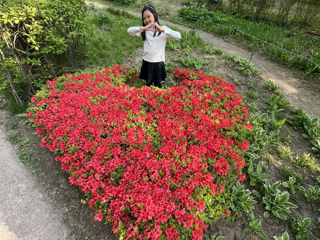 Namsan Vibes: Hike, Snap, Explore!