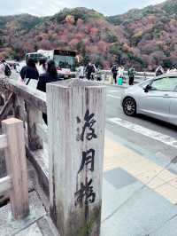 【京都🍤嵐山】予約が取れない！？十六色の一口天ぷら🍤