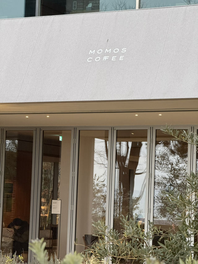 Momos Coffee • Haeundae