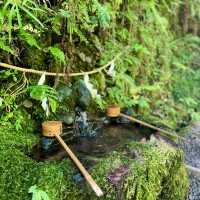 中井神社·隱秘靜謐