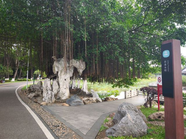 松山湖