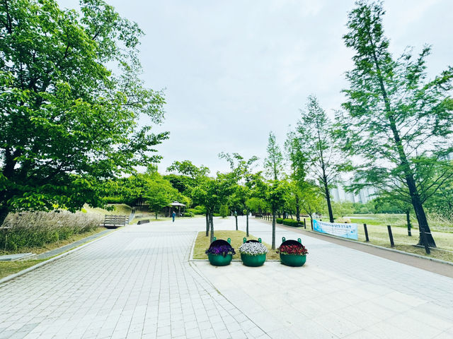 Where Nature Nurtures