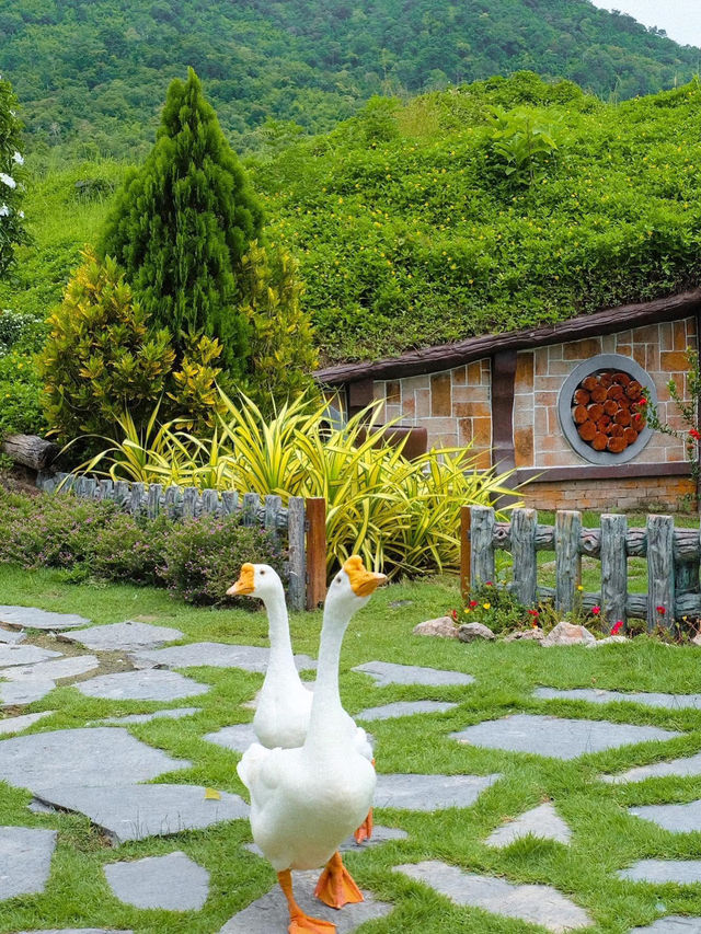 furry friends in the heart of Ratchaburi
