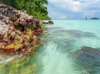 🌊🏝️ MYEIK WEEKEND ESCAPE: Myanmar’s Hidden Archipelago Adventure! 