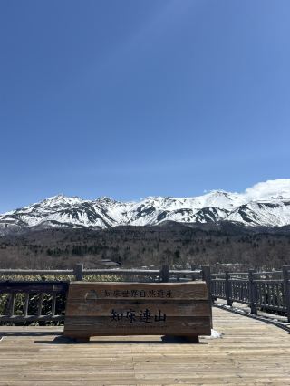 세계유산 시레토코 오호수의 고가 목도를 따라 절경을 산책하세요!