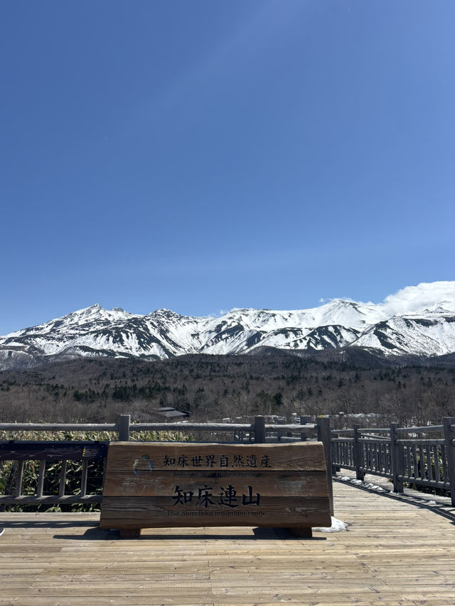 【世界遺産】知床五湖・高架木道で絶景散策！