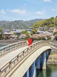 A Serene Weekend in Uji: Cherry Blossoms, Matcha & Timeless Beauty