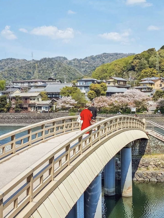 A Serene Weekend in Uji: Cherry Blossoms, Matcha & Timeless Beauty