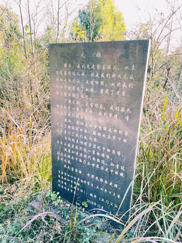 中國四川廣元著名景點：中國知青文化碑林，適合打卡拍照📸