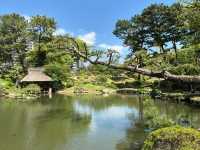 Shukkeien Garden: A Timeless Haven in Hiroshima
