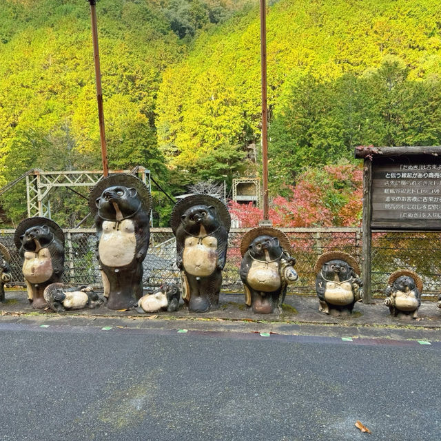 嵐山超級適合賞楓