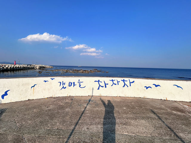 🇰🇷浦項✈️ 海岸村恰恰恰拍攝地尹牙科餐廳윤스토랑