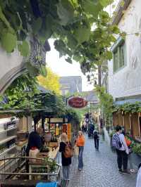 Altstadt: Where Germany’s Past Lives On