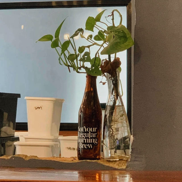 Sreg Coffee Roasters