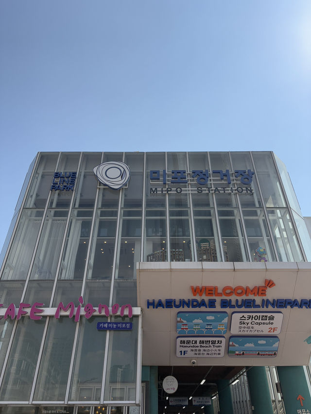 부산에서 꼭 해야할 액티비티 블루라인파크 스카이캡슐 열차🚃