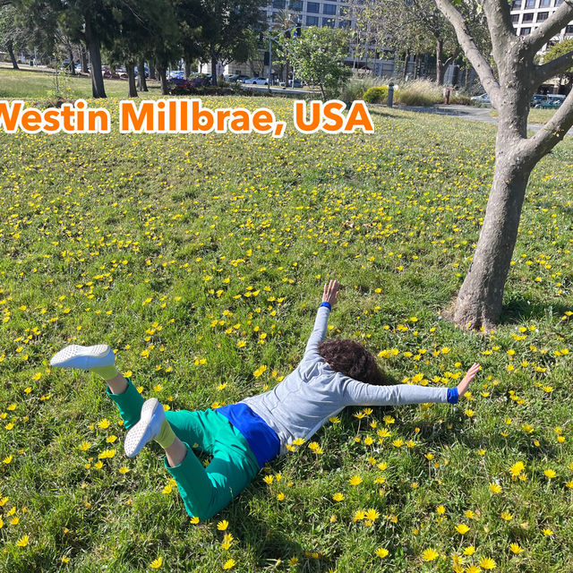 Something different to do in SFO Long Layover with Spectacular Aviation view & Bayfront Walk.