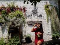  ร้าน Farm to Table Hideout  ร้านลึกลับใจกลางกรุง