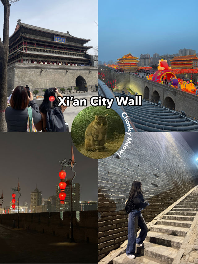 🛕Xi’an Itinerary (2.5 Days) 🇨🇳