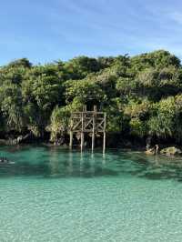 Amazing Sumba