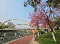 Kunming Waterfall Park