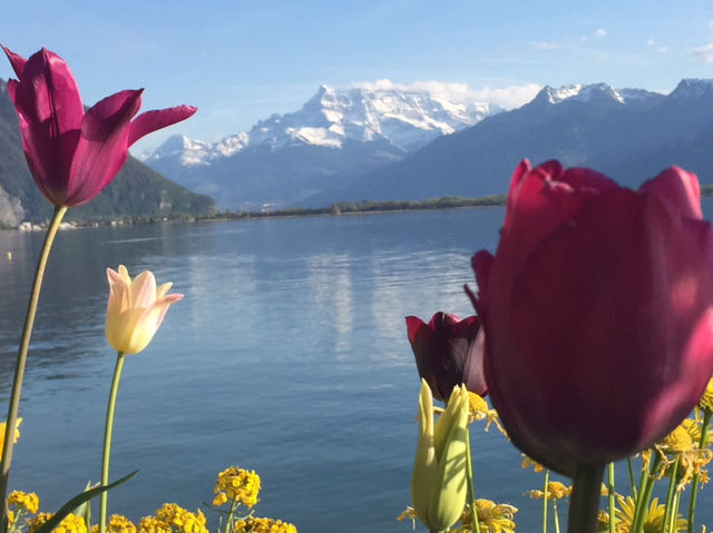 Montreux มงเทรอ ประเทศสวิสเซอร์แลนด์