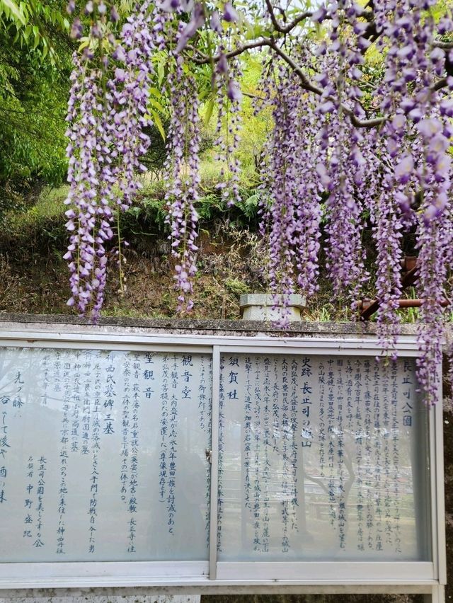【山口グルメ】蛍街道西ノ市