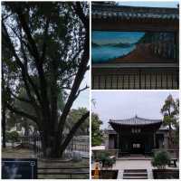 朝聖曲阜孔廟及孔府