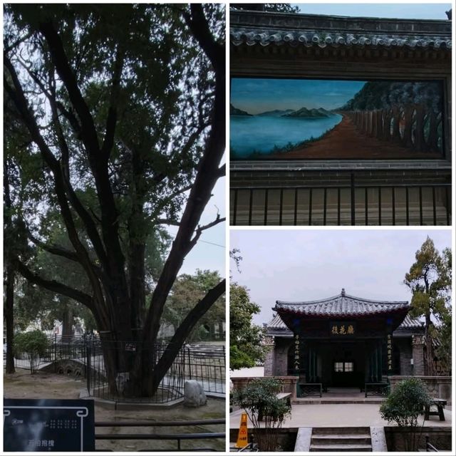 朝聖曲阜孔廟及孔府