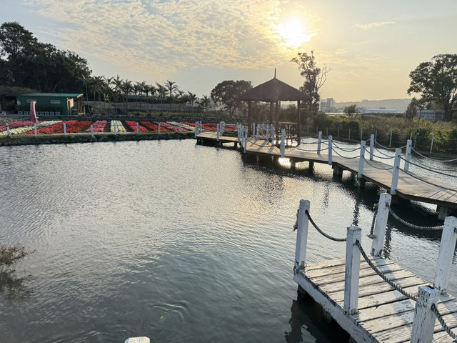 台中后里｜中社觀光花市，賞花、買盆栽、毛孩也能一起玩！