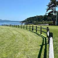 Find your peace where the ocean breeze meets timeless faith—Basilica in Carmel