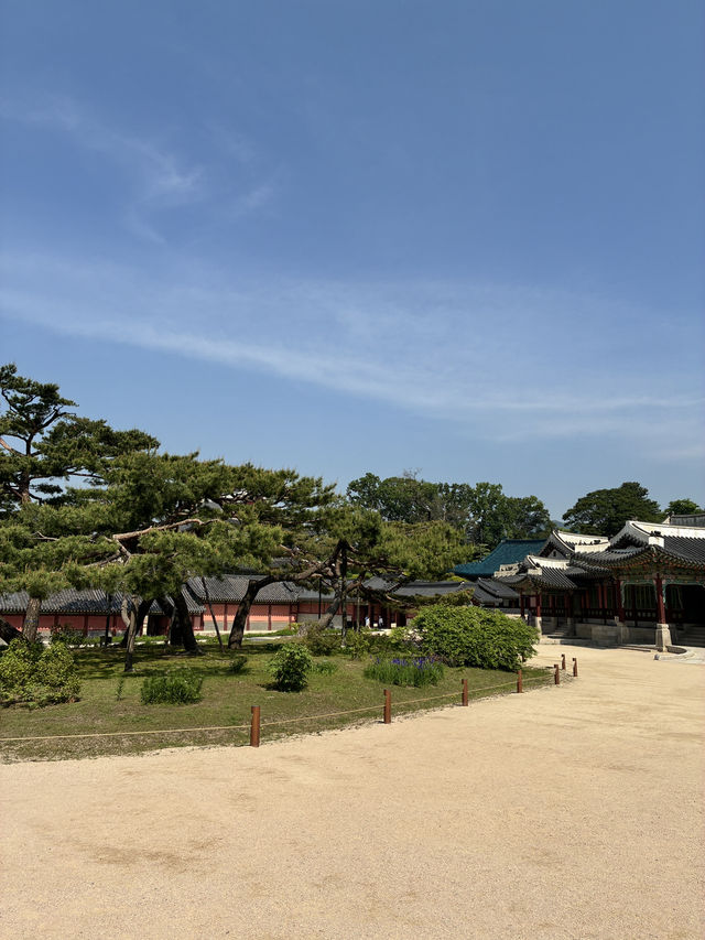 昌徳宮！