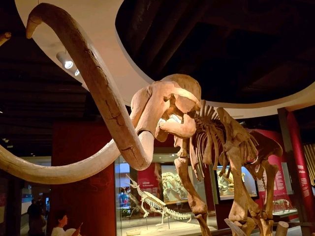 Shanghai Natural History Museum