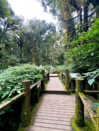 Chiang Mai’s Springtime Paradise