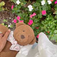 🪵คาเฟ่บ้านไม้ในสวนที่ระยอง