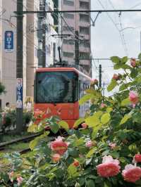 🌹 Otsuka Rose Festival – A Blooming Delight You Can’t Miss! 🌹