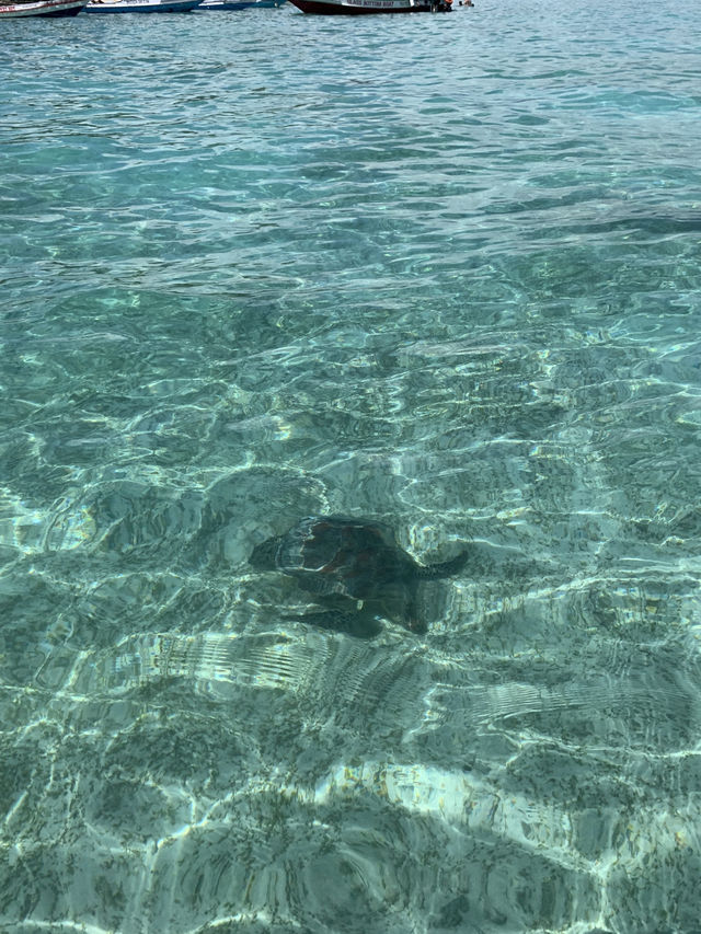 GILI TRAWANGAN
