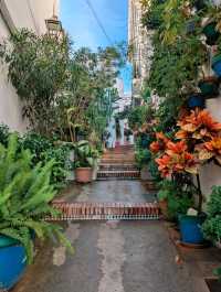 Streets Of Estepona