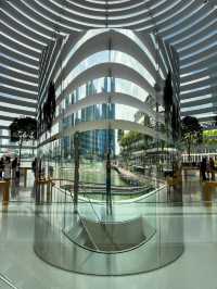 A Luxury Icon in the Sky: Views from Marina Bay Sands