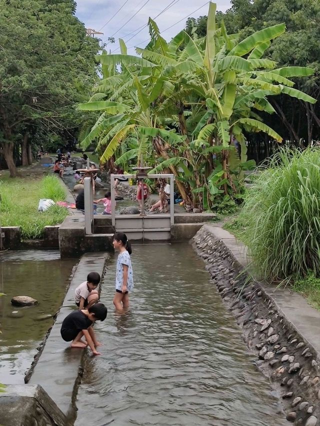 #林後四林平地森林園區-屏東縣潮州鎮