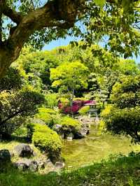 Osaka Castle Park: A Historic Oasis in the Heart of Osaka