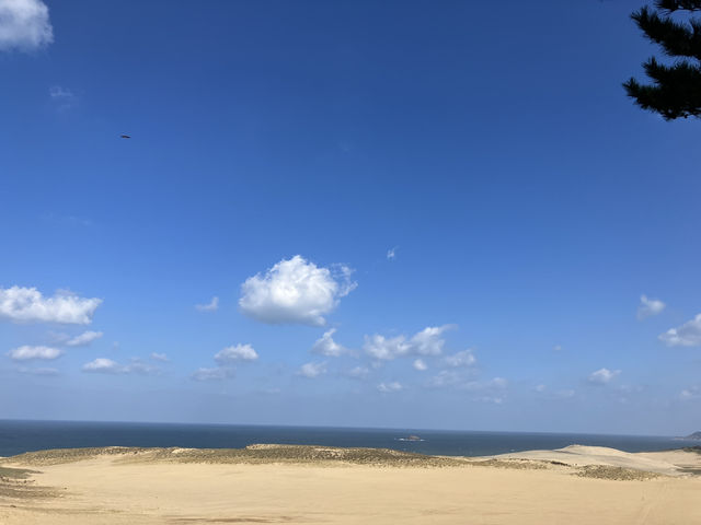 鳥取砂丘でセグウェイ体験！