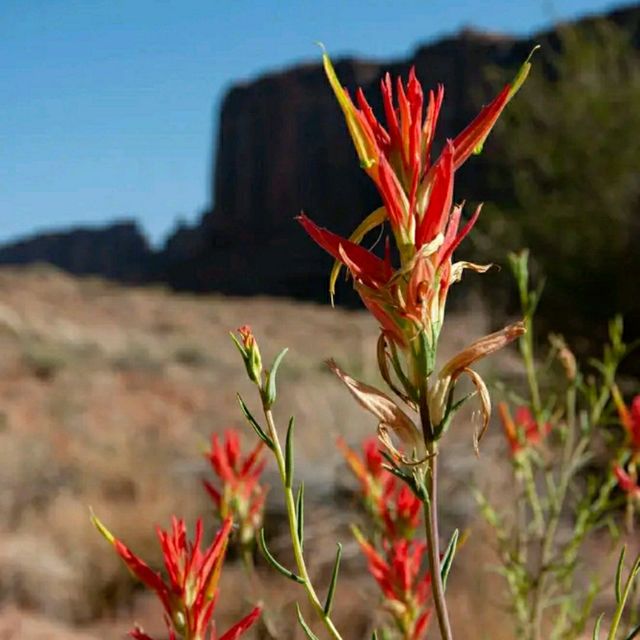 Hiking the Wild Sculpted Canyons of Canyonlands