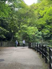 A Peaceful Escape to Minoh park.