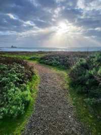Gold Rush Dreams: Trekking the California Trail