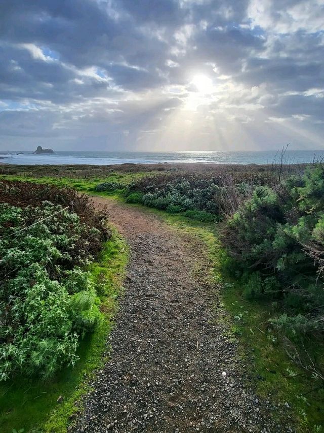 Gold Rush Dreams: Trekking the California Trail