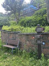 🌳 통영생태숲에서 자연과 한몸이 된 하루! 🍃