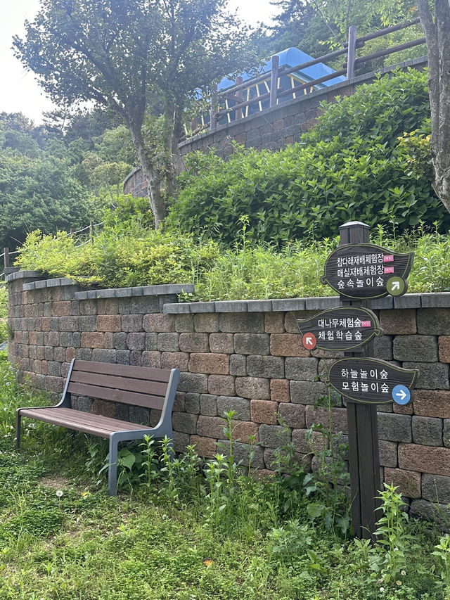 🌳 통영생태숲에서 자연과 한몸이 된 하루! 🍃