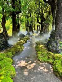 Changthong Heritage Park – Nature, Culture & Serenity Combined