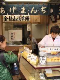 Tokyo & Kamakura Getaway