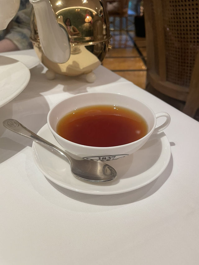 ☀️ Day in Singapore: 반짝이는 도시에서의 하루